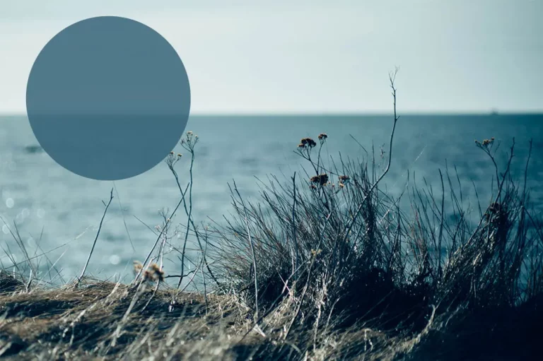 Ein Bild einer vom Ozean umgebenen Insel mit einem Kreis darüber.