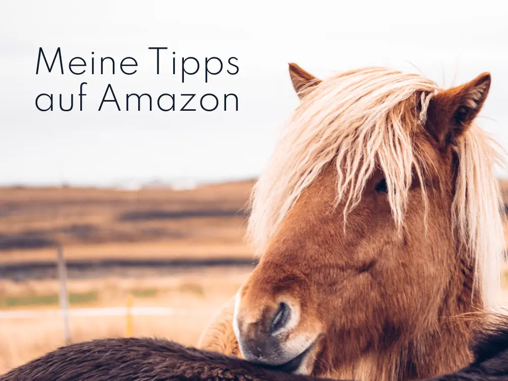 Ein braunes Pferd mit langer, hellblonder Mähne steht im Freien vor einer unscharfen ländlichen Landschaft im Hintergrund. Der Text Meine Tipps auf Amazon erscheint in der oberen linken Ecke.
